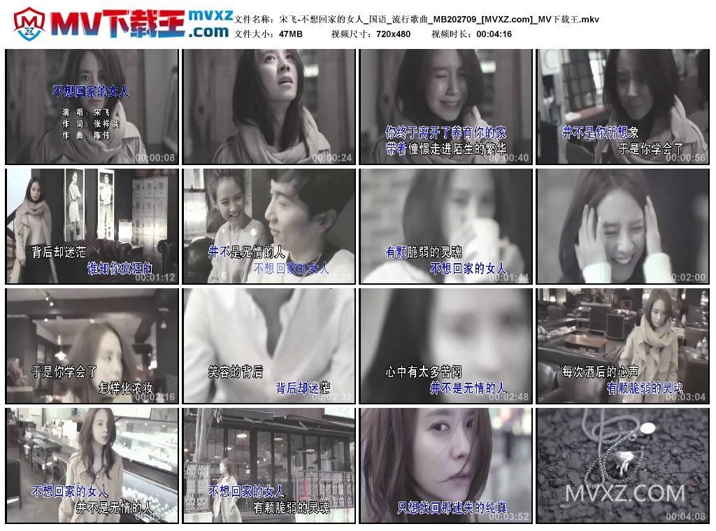宋飞-不想回家的女人_国语_流行歌曲_MB202709